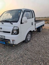 حمل • ٢٠١٩ • رقم ديالى