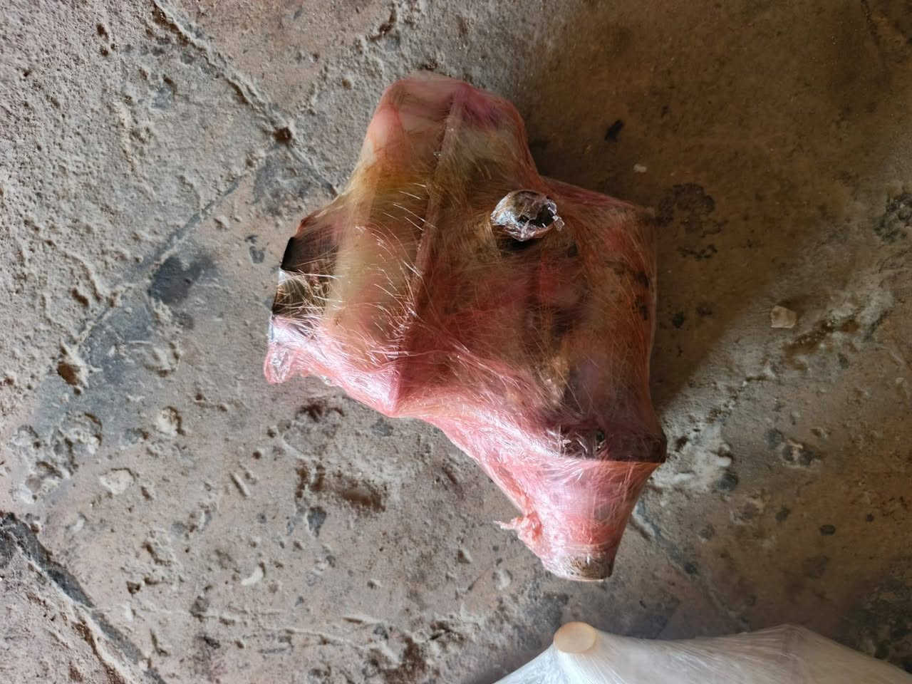 سلام عليكم فج امبالا خلفي
. 2012 2013. 
عبوه بانزين
عمبار 
اي بي اس 
دبت ماي 
يدت اشاره. 
سلف 12. 
بواري عمبار 
ماطور ماسحات 
ضاغطه 12. 
موجود جميع غراض الامبالا. انسب الاسعار
  العنوان سماوه  حي الصناعي 
شارع الأمريكي محل نضوري الحداد 
  ***********
***********.
