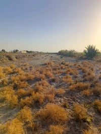 قضاء الغراف • قريه السعيد • ٢٠٠م