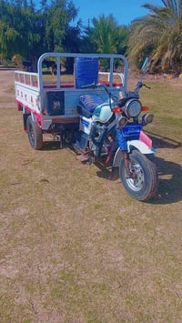 ستوته ٢٠١٦ • أوراق العنوان • ناحية النصر