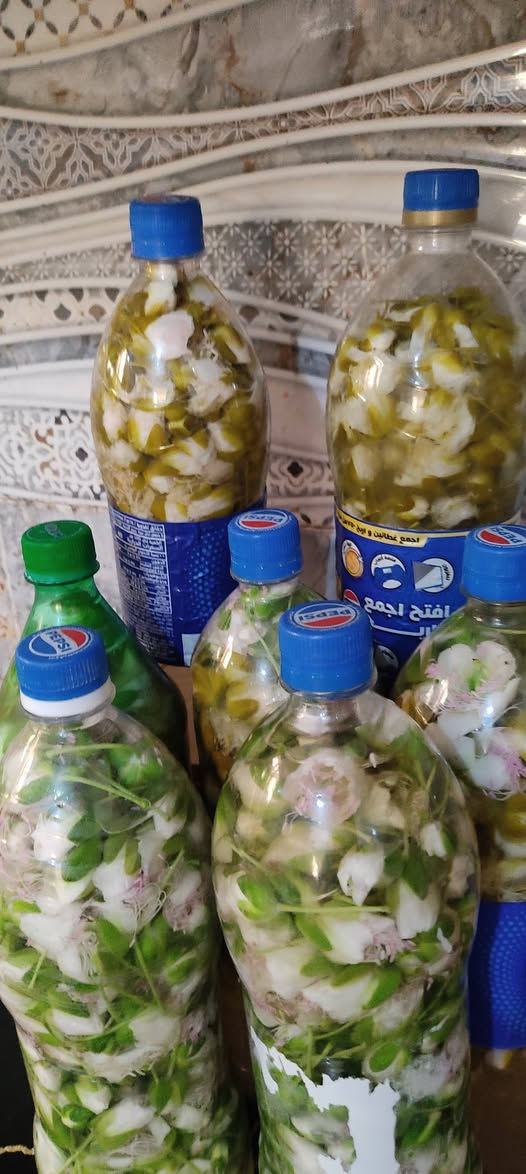 السلام عليكم يوجد لدينا ورد كبر مچبوس جيد وجديد وطعم طيب أن شاءالله للبيع سعر بطل البيبسي الكبير ١٧٥٠ وإذا جملة ١٥٠٠والبطل الصغير ١٥٠٠واذا جملة ١٢٥٠ ويوجد توصيل داخل عنه والشيشان ١٠٠٠ دينار وشكرا والله يرزق الجميع


**إذا كنت صاحب هذا الإعلان وتريد حذفه لأي سبب، رجاءا أرسل رسالة إلى الدعم الفني**