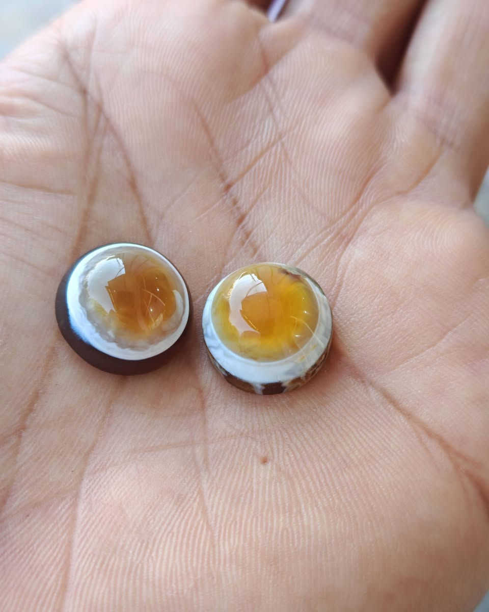 جزع يماني / تخفيض اسعار لشهر رمضان الكريم


**إذا كنت صاحب هذا الإعلان وتريد حذفه لأي سبب، رجاءا أرسل رسالة إلى الدعم الفني**