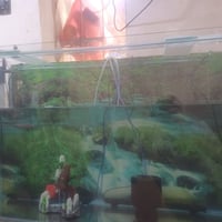 النجف • ٢ هيتر • حوض جاهز