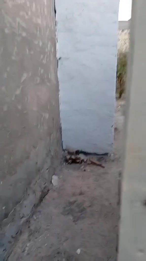 السلام عليكم
دار للبيع مساحه 140 زراعي بناء قديم
في طويريج الصكبانيه
يحتوي على
عوفتين نوم
مطبح
اسبقبال
طارمه
صحيات
البيت شويه يرادله تصليحات وترتيبات للي يريد يشل كبل بي
وكما موضح بالفيديو للاستفسار

***********
او على الخاص
