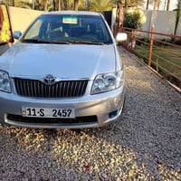 كورلا بيكاب • ٢٠٠٦ • بابل محاويل