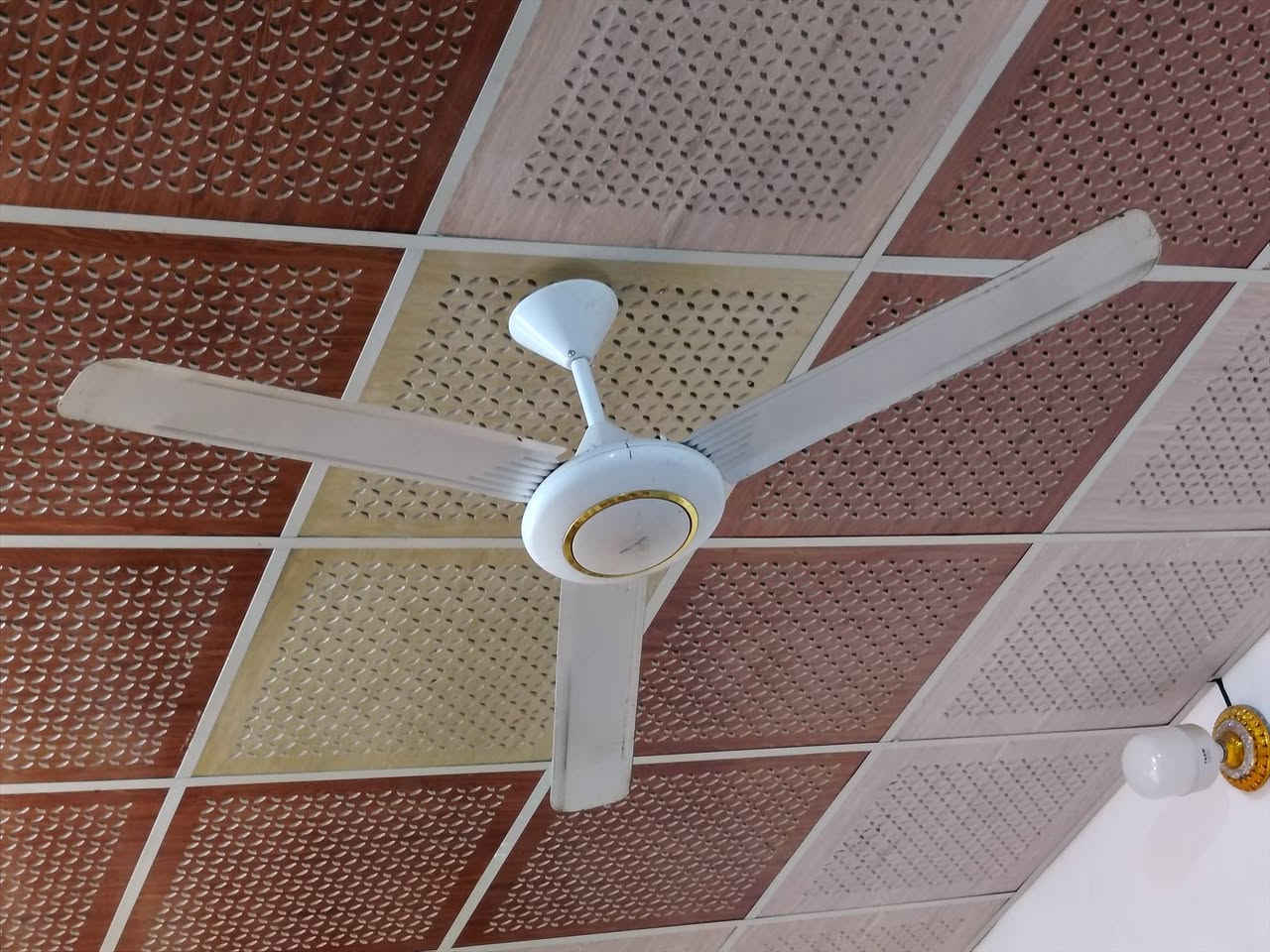 السلام عليكم شباب غراض مستعمله ليزرات ٣ على ٣٥ الواحد بدون بطاريات وقسم مابيهن شاحنات شرط الشغل  الماطورات الجبير شرط الشغ والثاني مايشتغل الجبير ٢٥ والزغير ب١٠  المراوح كلهن شرط الشغل الوحده ب٢٥ شرط الشغل
