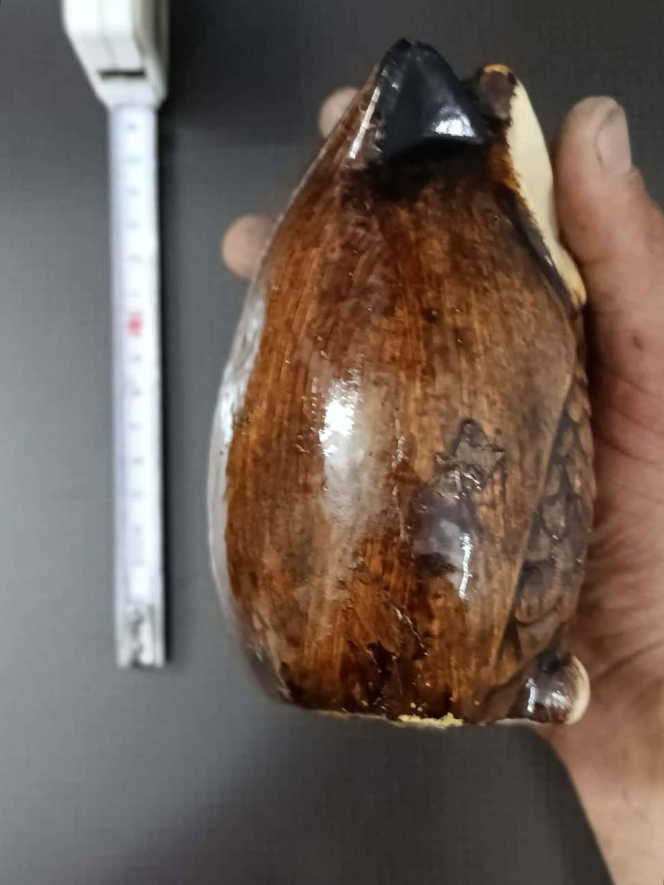 صناعة اندنوسيا معجون العاج الصناعي ضد الكسر بغداد, العراق


**إذا كنت صاحب هذا الإعلان وتريد حذفه لأي سبب، رجاءا أرسل رسالة إلى الدعم الفني**