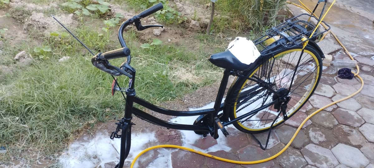 للبيع او مراوس بحجم ٢٦
مكان كوت سعر٨٠ 
ملاحظه مصبوغ


**إذا كنت صاحب هذا الإعلان وتريد حذفه لأي سبب، رجاءا أرسل رسالة إلى الدعم الفني**