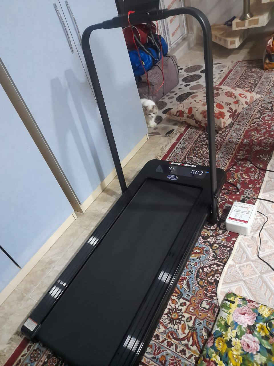 مرحبا / جهاز رياضي للجري جديد غير مستخدم اي استفسار ع الخاص رجاءا


**إذا كنت صاحب هذا الإعلان وتريد حذفه لأي سبب، رجاءا أرسل رسالة إلى الدعم الفني**