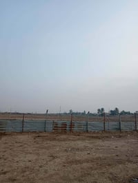 نص دونم • بأسمى • نهاية شارع ٦٠