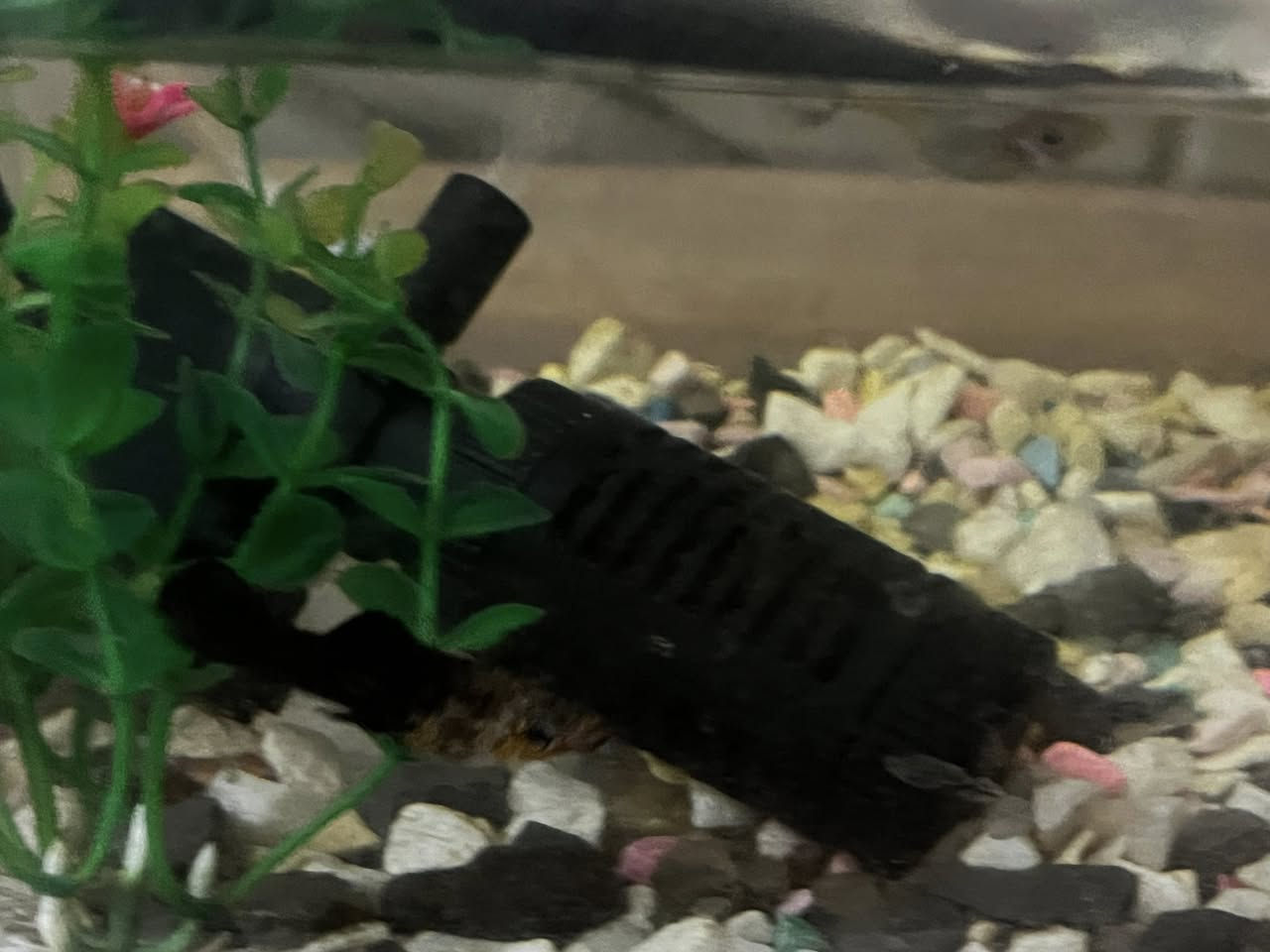 حوض سمك
س/20ومجال قليل
مكاني ميسان العماره نهاوند الثانيه


**إذا كنت صاحب هذا الإعلان وتريد حذفه لأي سبب، رجاءا أرسل رسالة إلى الدعم الفني**