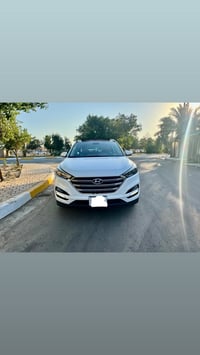 توسان خليجي • ٢٠١٨ • بانوراما جلد