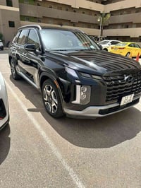 باليسايد • ٢٠٢٣ • ضربه خلفيه