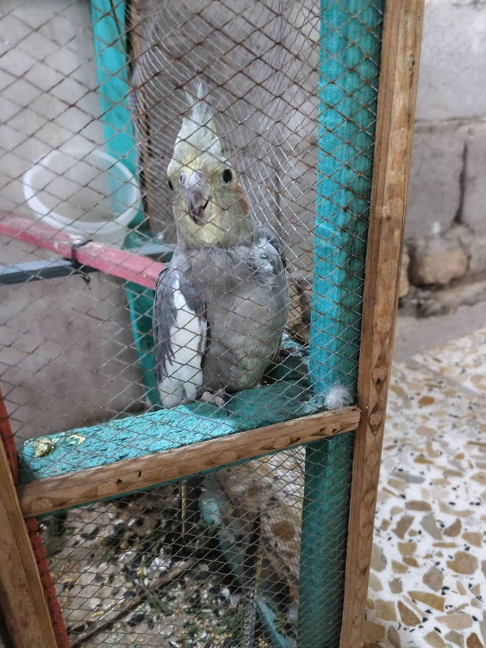 كوكتيل اليف نص ونص سعره 25 موقع في سبع البور


**إذا كنت صاحب هذا الإعلان وتريد حذفه لأي سبب، رجاءا أرسل رسالة إلى الدعم الفني**
