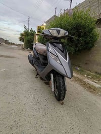 ماكس ثعلب • نضافة ٩٠٪ • تاجي سبع البور