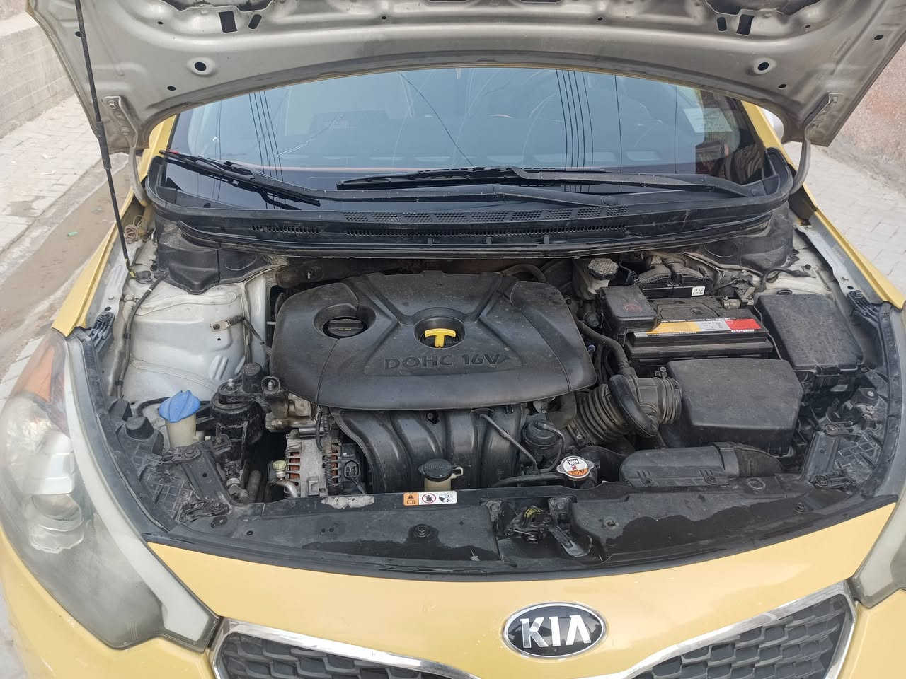 السلام عليكم
للبيع فورتي وارد امريكي 2014

حادثها جاملغ الخلفي باامريكا 

ضربه بسيطه جاملغ امامي الايمن 

مكينه 1800 دوش جديده

تبريد ثلج مكفوله 

حداديه 70 بالميه 

 مكان السياره بغداد المعامل العماري

السعر 95 وبيها مجال 

الهاتف ***********
