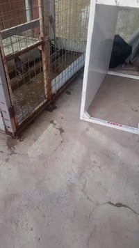 للبيع • بصره