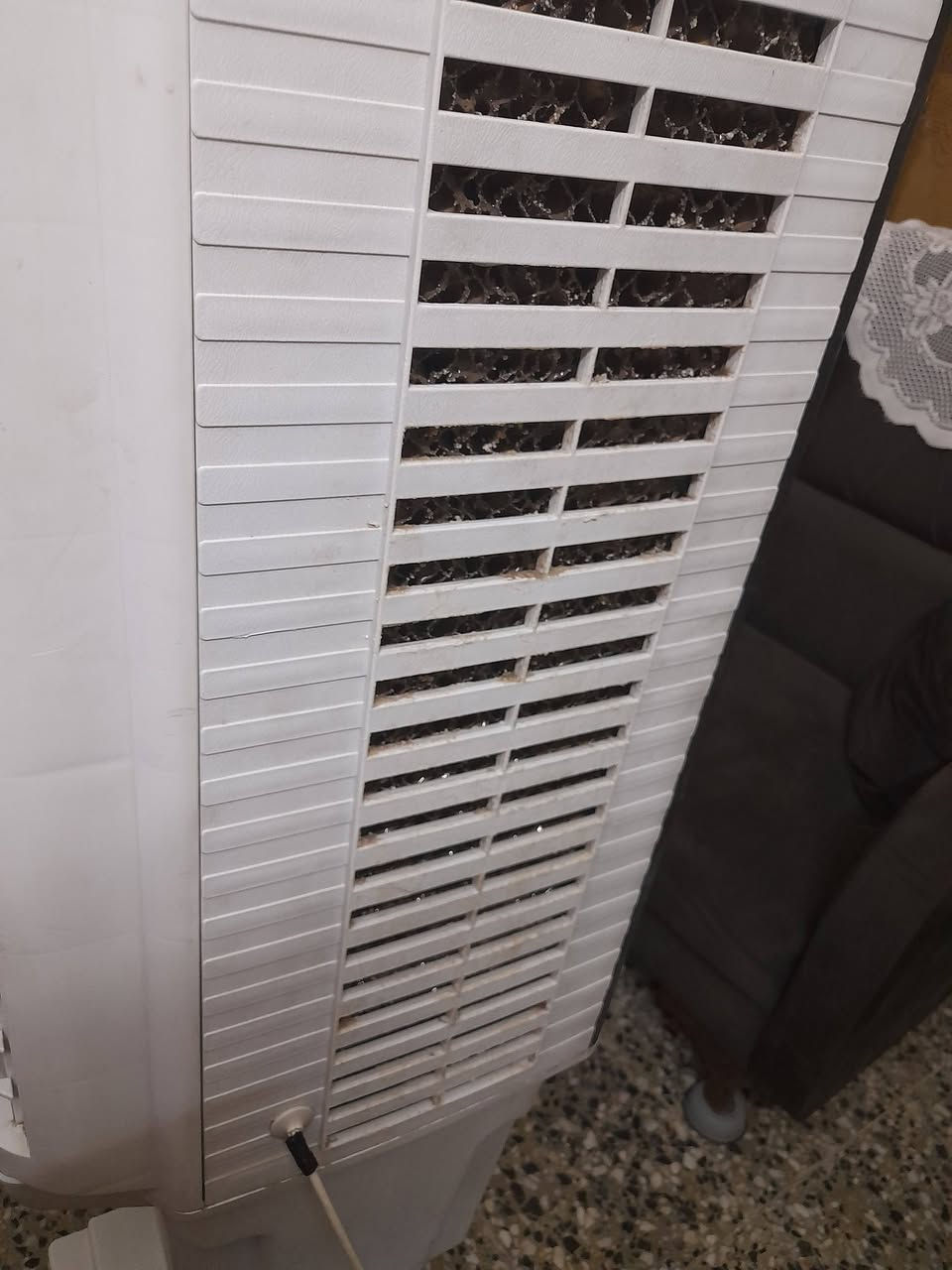 سلام عليكم كنفيره حجم كبير سرعتين المكان الغزاليه


**إذا كنت صاحب هذا الإعلان وتريد حذفه لأي سبب، رجاءا أرسل رسالة إلى الدعم الفني**