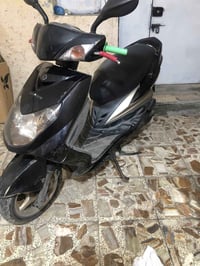 سكنس فحل دراجة بلادية من التاير الامامي للتاير الخلفي مكفوله كفاله عام...