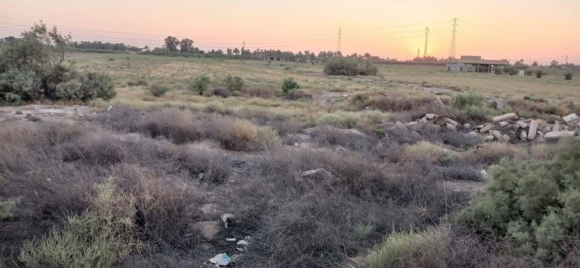 السلام عليكم دونم للبيع عل حولي مباشر سند ٢٥ واجهه ١٠.٥ متر وبي محرم ٥٠ متر للإستفسار والاتصال على الرقم ***********
