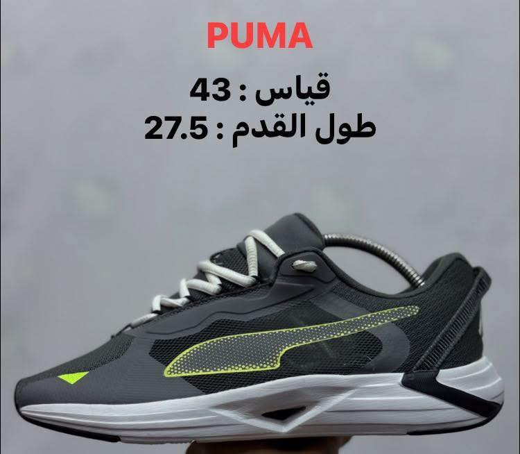 حذاء PUMA اصلي اورجينال نضافة 100‎%‎

قياس : 43
طول القدم : 27.5

———————————————-

يوجد توصيل 🚚 ( بغداد - محافظات العراق )

☎️رقم الهاتف : ***********

للحجز - دايركت
