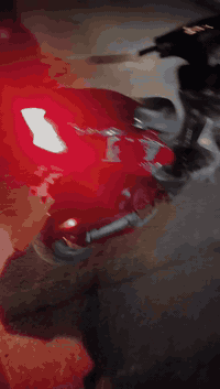 دراجه ماكس ثعلب جفاتتهه كلشي بيهه جديد وره فتره طفت قفلهه200غيرهه مابيع مكاني بغداد الجديده ***********
