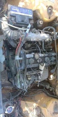 راوى • جاهزه • قضاء الفهود