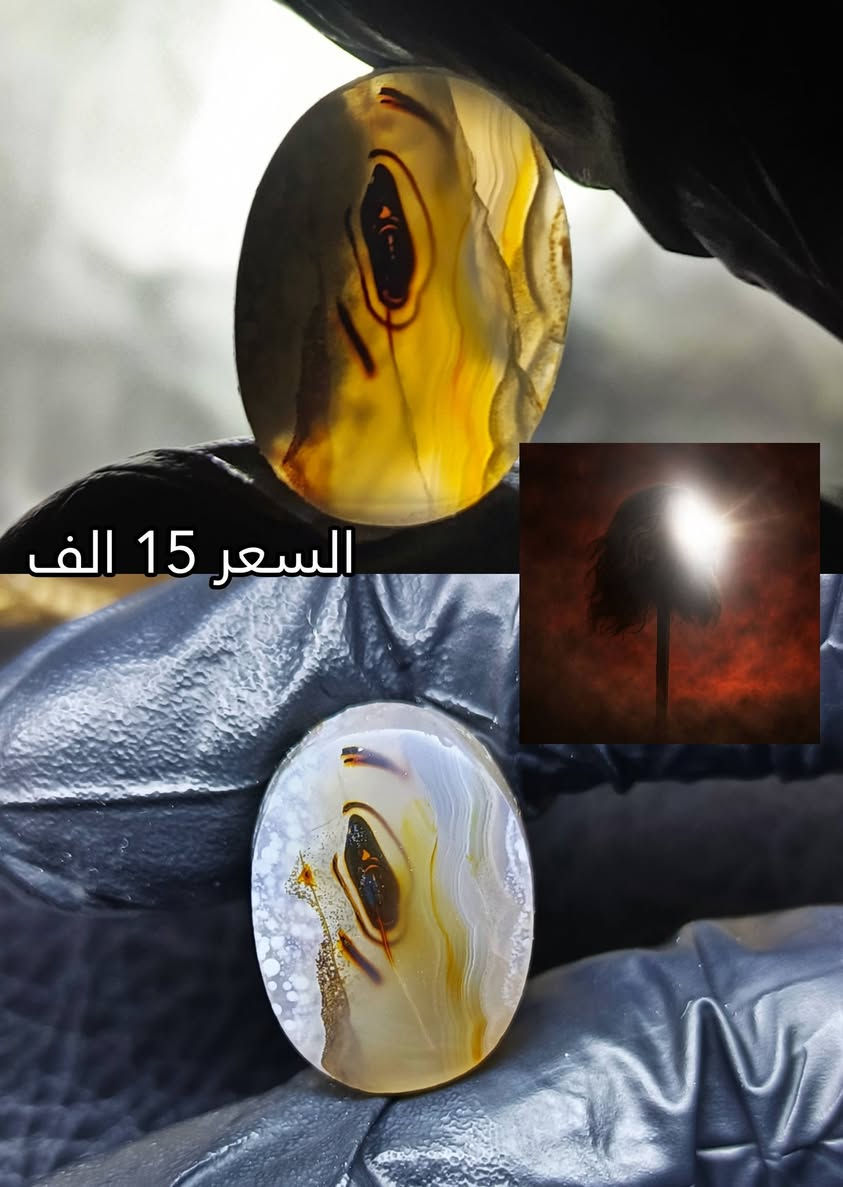 اللهم صل على محمد و ال محمد للحجز والتواصل واتساب (***********)
