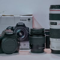 كانون 250D • عدسة 70-200 فتحة 4 • نضافة 100%