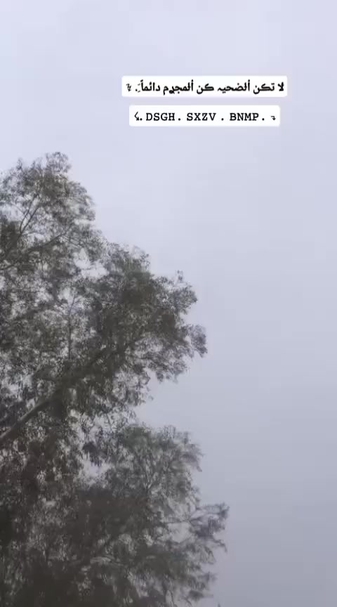 نامه متياز مديل 25 كامله كفاله للبيع 625وبي مجال مكان ديالى بعقوبة


**إذا كنت صاحب هذا الإعلان وتريد حذفه لأي سبب، رجاءا أرسل رسالة إلى الدعم الفني**