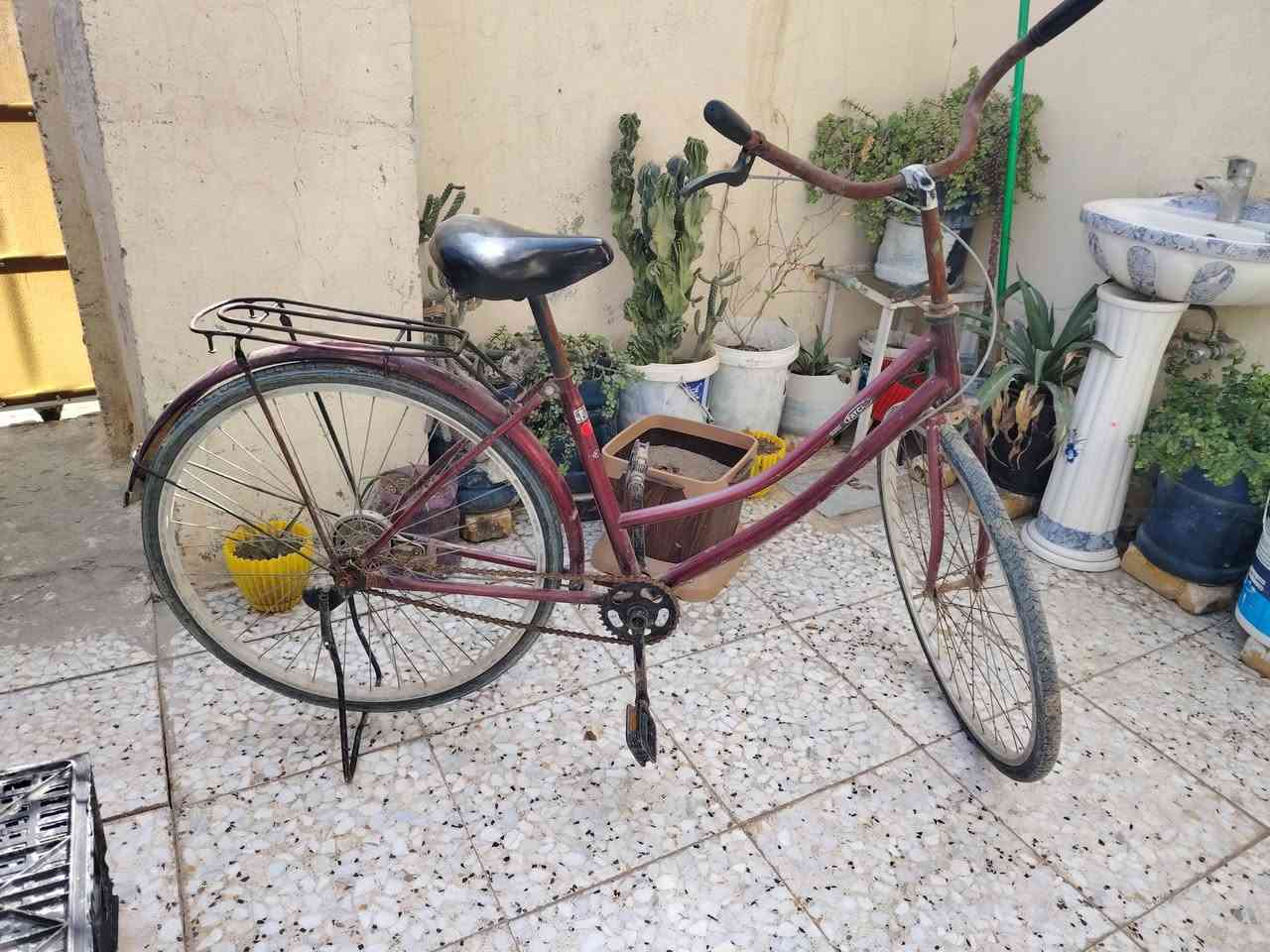 باسكل لبيع السعر 70وبي مجال السكن بابل ابو غرق حي المرتضه


**إذا كنت صاحب هذا الإعلان وتريد حذفه لأي سبب، رجاءا أرسل رسالة إلى الدعم الفني**