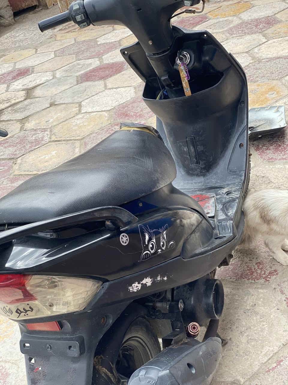 سلام عليكم دراجه للبيع عوزه بس كفر كدام كلها شغاله وعندك الاشاير رايدلها تبديل دراجه محرك خير من الله شلعه ومعدل طياره مفتوحه مره وحده بوشه 55السعر 500وبيها مجال رقمي بس خط يشتغل بدون واتساب ***********
