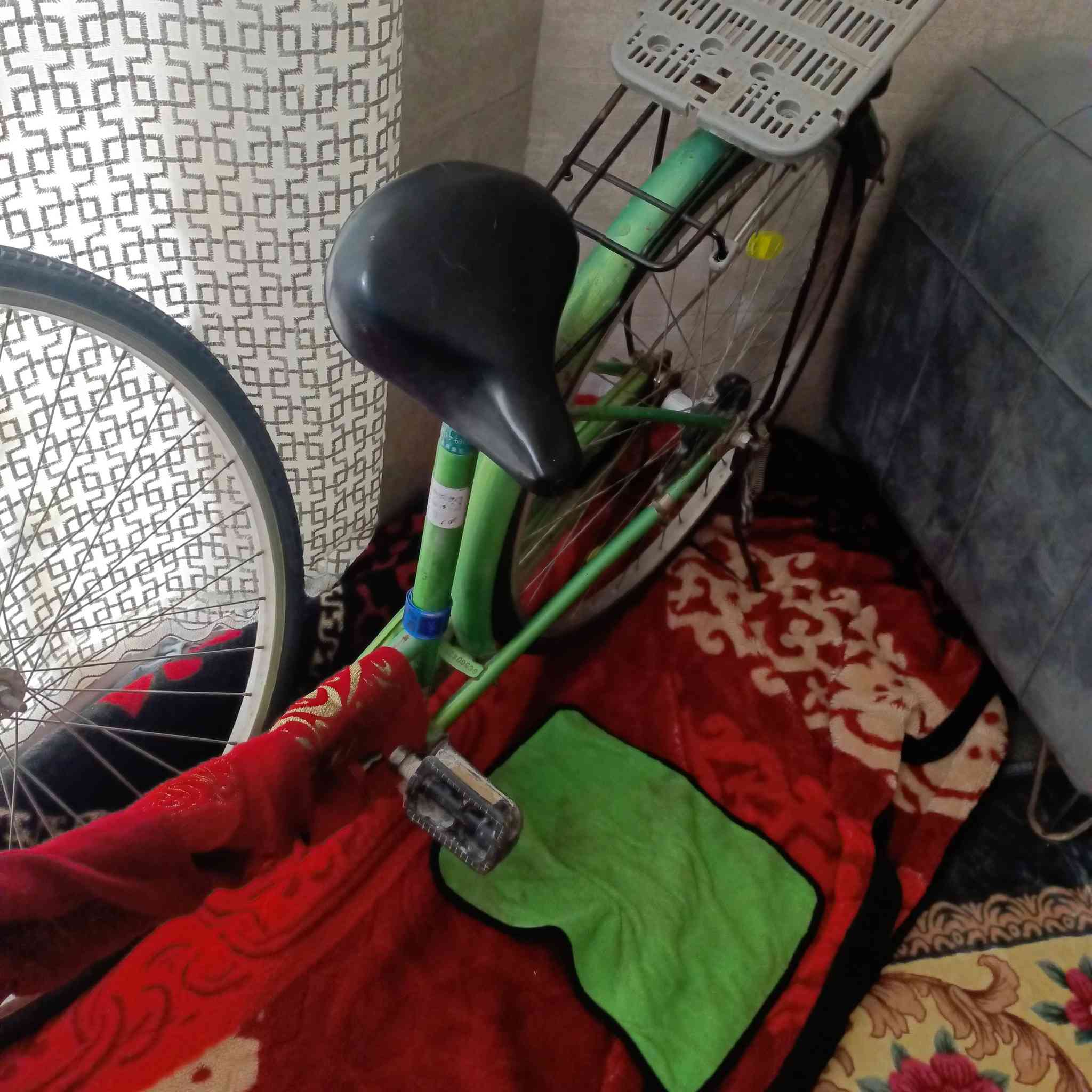 بايسكل للبيع موديل 2015 مكاني نجف البايسكل جديد سعره75 ابي مجال


**إذا كنت صاحب هذا الإعلان وتريد حذفه لأي سبب، رجاءا أرسل رسالة إلى الدعم الفني**