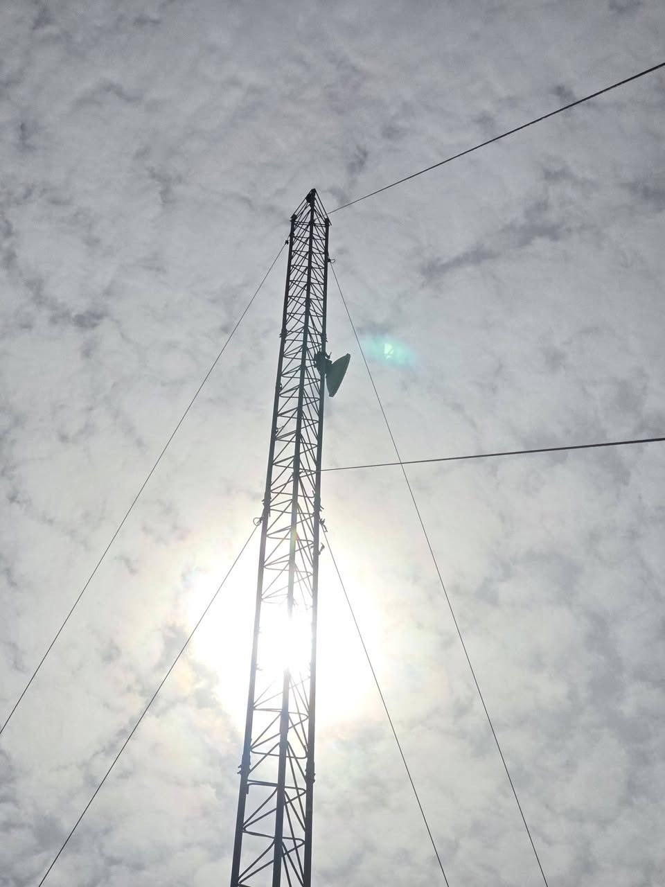 تم نصب ١٨ م كربلاء باب بغداد..
***********
علاء
