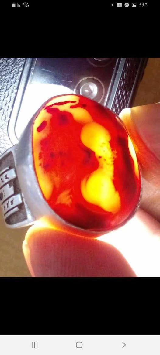 داودي قديم الزمان للبيع السعر ١٢٥قطعه راقيه جدا 😌مصوره واضحه للاستفسار *********** او خاص؟
