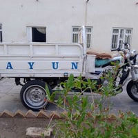 ستوته • موديل ١٧ • شطره