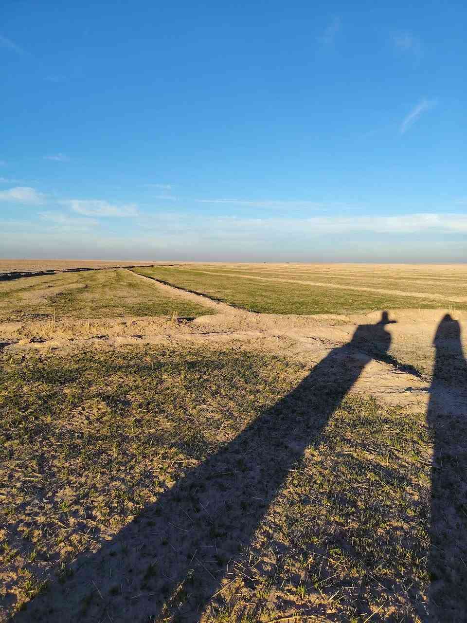 السلام عليكم كاع للبيع 233 دونم بيه بير مزروعه العام السنه مخضره جاث عل مطر بلكصير ***********
