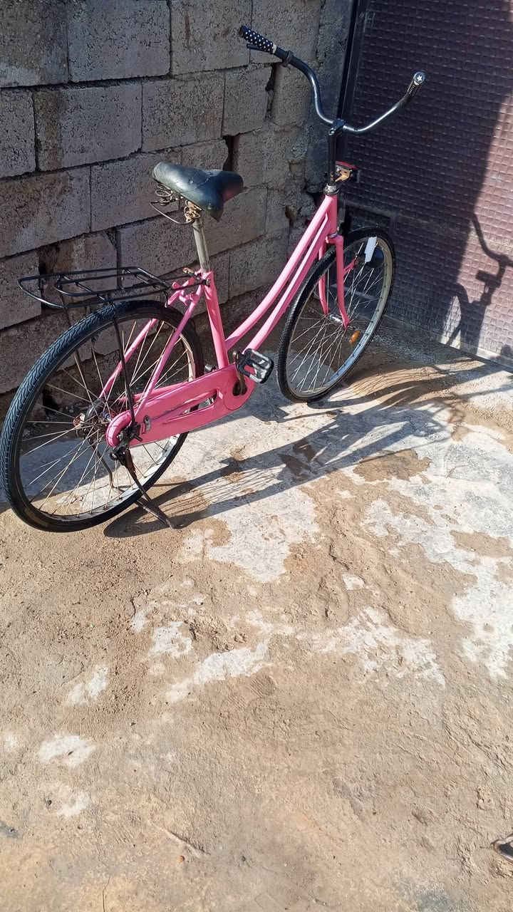 السلام عليكم بايسكلات للبيع نضافه شوفت عينك السعر 100وبيهن مجال المكان الرحمه مجمع صناعي


**إذا كنت صاحب هذا الإعلان وتريد حذفه لأي سبب، رجاءا أرسل رسالة إلى الدعم الفني**