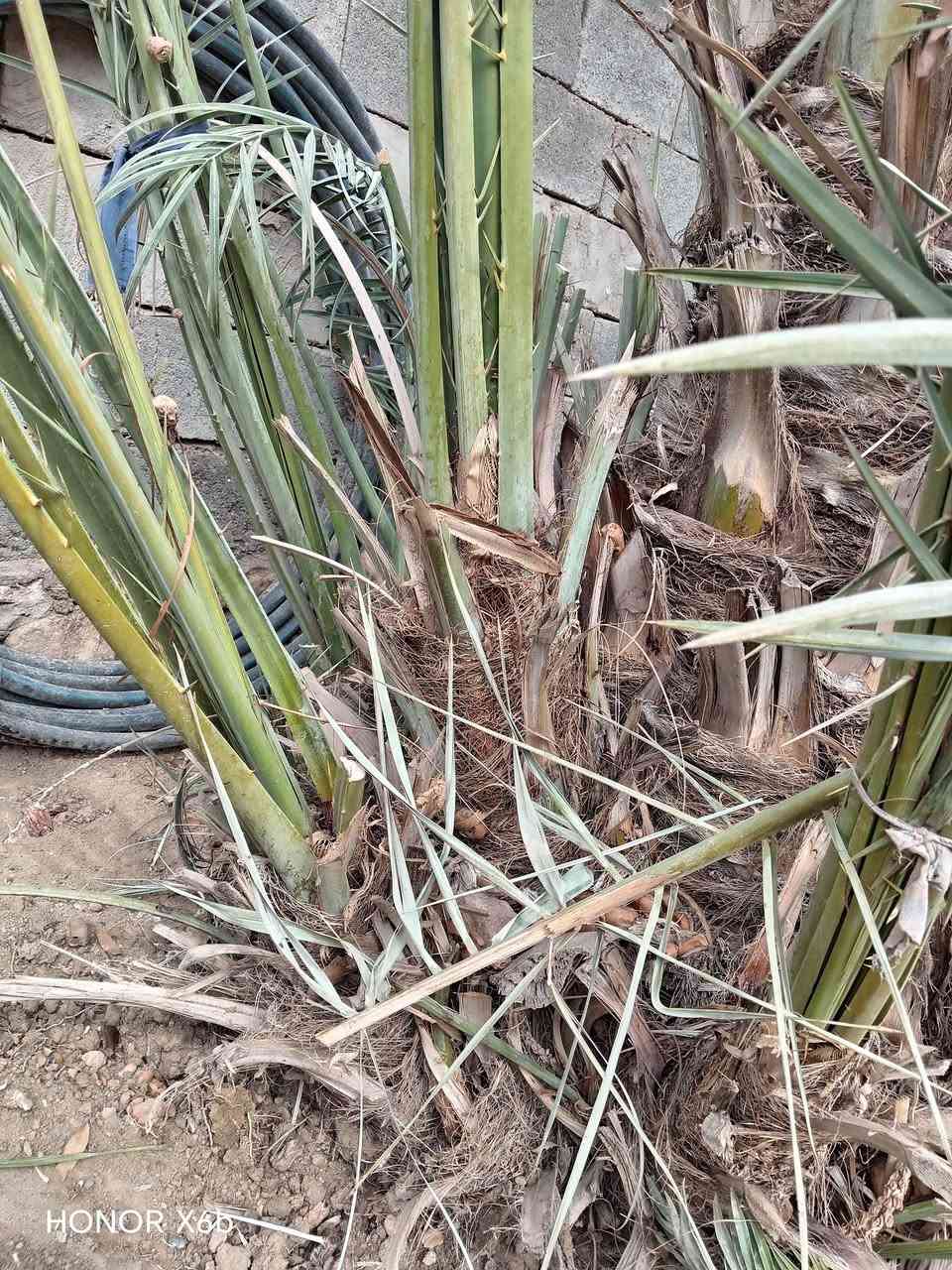 السلام عليكم
تال خيار للبيع السعر 15
لأستفسار على الرقم التالي ***********
