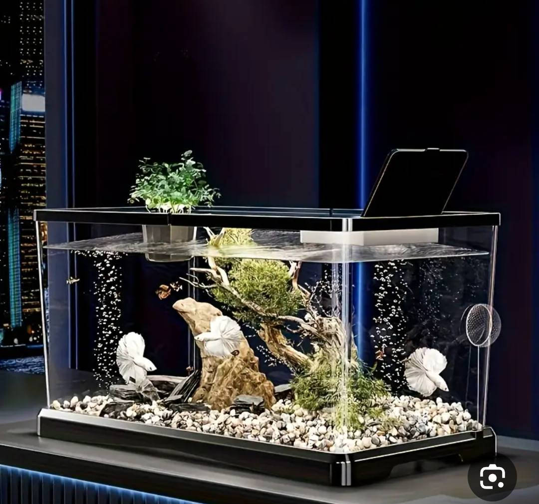 حوض سمك حجم كبير الطول 55 العرض 30 سعره 25


**إذا كنت صاحب هذا الإعلان وتريد حذفه لأي سبب، رجاءا أرسل رسالة إلى الدعم الفني**