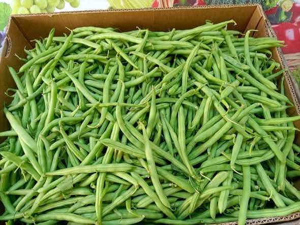 صلو على الحبيب قلبك يطيب

بسم الله ماشاءالله 

خيرات اليوم الاربعاء 2025/11/19

#يوجدلدينا #خدمة #توصيل #كافت #مناطق #ابوغريب

اتصل يوصلك طلبك اباب بيتك

الفرع الاول خرنابات شارع السچه 

***********///***********

#يوجدلدينا #دجاج #ذبح #عراقي

#اسعارنا #اليوم #غير #شكل

بصل صاجي 750 
بصل كرستال 750
بصل حار 750
بصل اخضر 750
اسود عراقي 750
شلغم 750
قرنابيط 750
اشوندر 750
شجر 750
طماطه  750
بطاطا عراقيه 750
لهانه حمرة 750
لهانه خضرة 750
ذرة 🌽عراقيه 750
ركي عراقي 750🍉🍉🍉
اخيار عراقي 1000
فلفل بارد 1000
فلفل حار 1000
فلفل الوان 3000
ثوم  كيس 1000🧄🧄
ثوم مصري كيلو3000🧄🧄
خس عراقي  1000🥬🥬🥬
جزر  1000🥕🥕
اسكله 1000
فاصوليه عراقيه 2000
لوبيا 1500
شمام 1500
كستنه 5000
