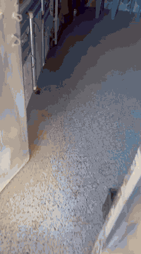 السلام عليكم بيت حواسم بي معامله بلديه بس ابيع حواسم وما عليه ازاله كافة الخدمات موجودات  مساحته ٣٠٠ جاهز للسكن ماء مجاري كهرباء ***********
