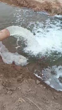 مكينة افيكو • ٤سلندر • الديوانية