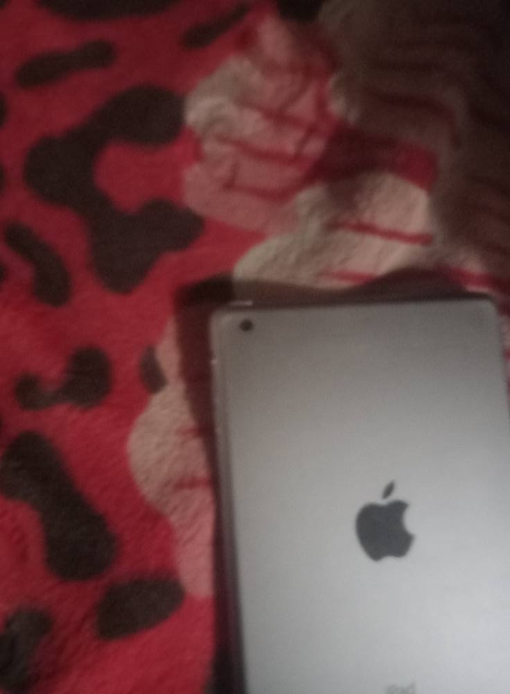 السلام عليكم
ايباد ابل 
10 برو مستخدم يوم واحد و ذاكره 200 البطاريه 100 و يجي ويا شاحنه  السعر علا الواتس ***********
