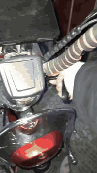 دراجه شحن نضيفه جدآ كهربأيات كلهه شغاله خمس بطاريات نضيفه مكان الرمادي السعر 300 بي مجال
واتس اب077641940


**إذا كنت صاحب هذا الإعلان وتريد حذفه لأي سبب، رجاءا أرسل رسالة إلى الدعم الفني**