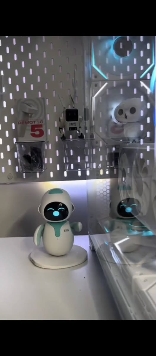 روبورت آيليك للبيع في تكريت سعر 190 ألف مستخدم اسبوع واحد فقط روبورت تفاعلي وفيه مميزات كثيره رقص غناء تنبيه ـ مؤقت- تذكير مواعيدك المهمه وتفاعلات كثيره والكثير من مميزات أخرى للشراء اتصال على رقم تالي ***********
