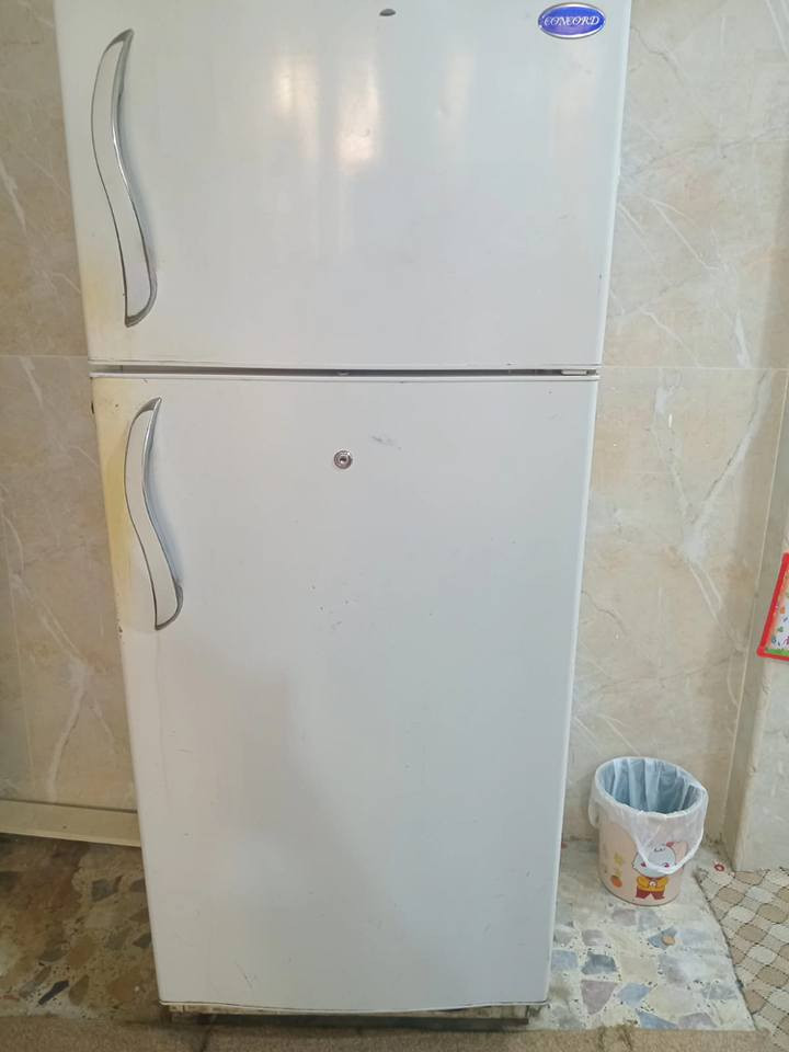 ثلاجه كونكورد مستعمله كربلاء, العراق


**إذا كنت صاحب هذا الإعلان وتريد حذفه لأي سبب، رجاءا أرسل رسالة إلى الدعم الفني**