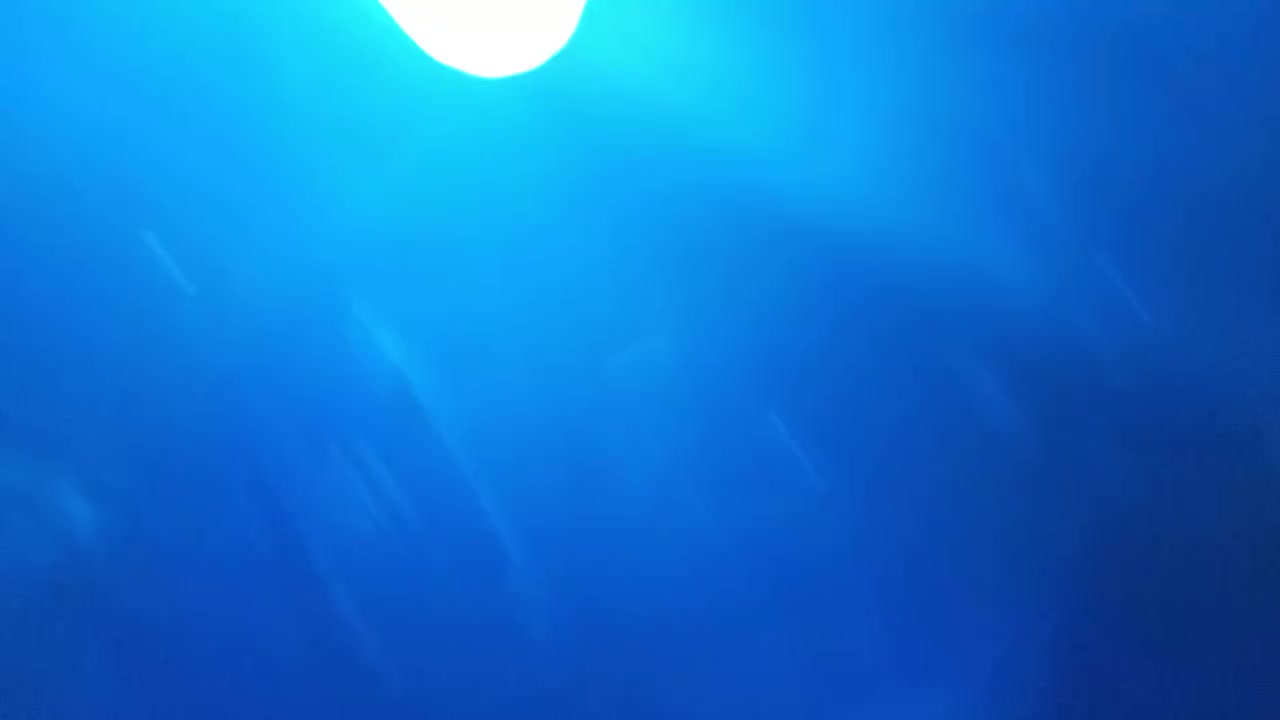 السلام عليكم
تجميعة كاملة كيبورد علما الكيبورد بية الوان يشتغل و ماوس الوان يشتغل و سماعة  الوان تشتغل و ماوس باد صغير ب 59 الف الف اصليات تجميعة و بيهن مجال 🔥🔥🎧

ups الاصلي مو الصيني 40 الف دينار 💸💥

ماوس باد كبير جدا 15الف دينار و بية مجال🎛️💥

سكاي بلوتوث ب35 الف راح احطلكم فيديو عنه و علما بيه دي جي داخلي يعني هم دي جي و هم انارة قوية🔥💸💥

دي جي خارجي ب15 الف دينار🔥🎛️

السعر كامل 159 الف و بية مجال😱💸🕹️

للتواصل *********** واتساب
المكان ديوانية 
لحك قبل لاينباعن
