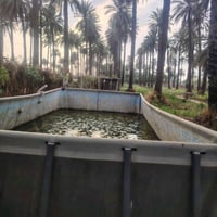 طول ٧٫٥م • عرض ٣٫٥م • ارتفاع ١٫٣٢م