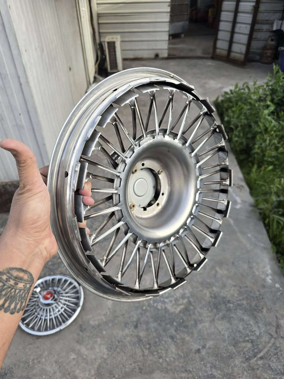 كبات موستنك للبيع ككوك.
عنوان بغداد شارع فلسطين
***********
